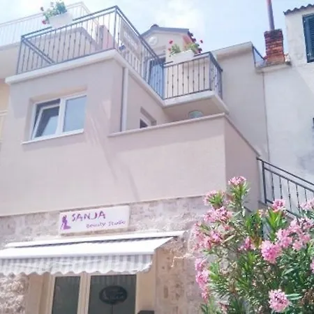 Begonja Vodice